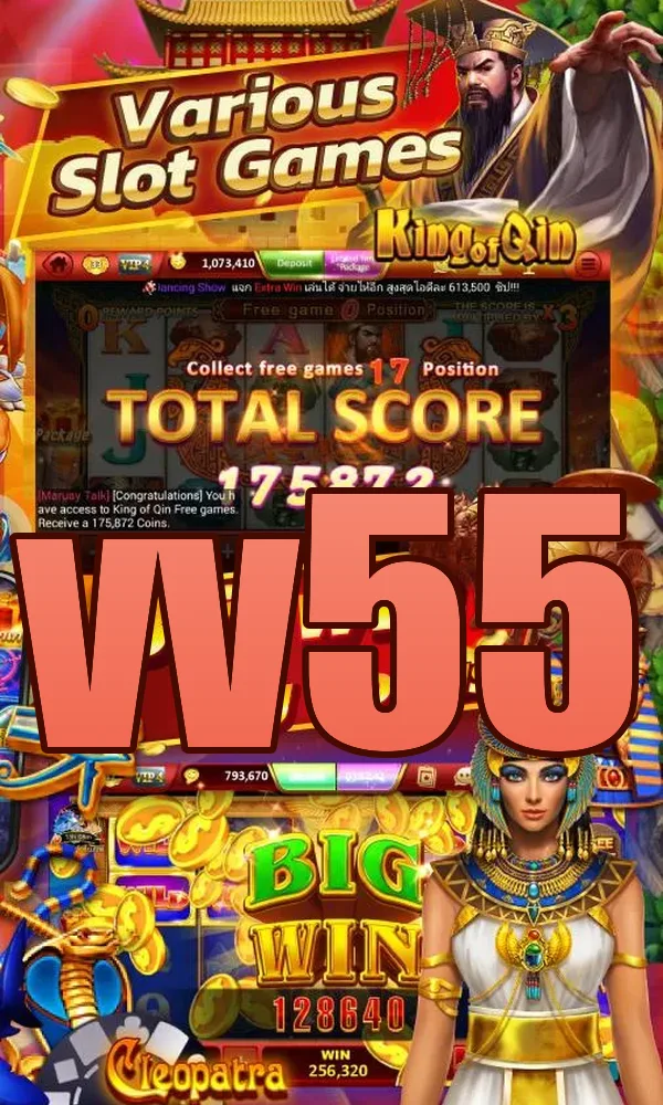 vv55 APK